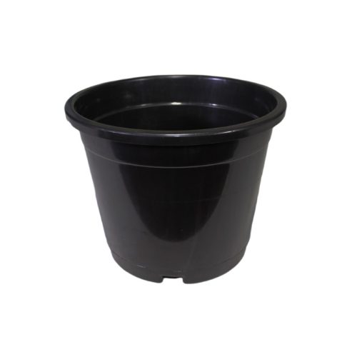 {"remix_data":[],"remix_entry_point":"challenges","source_tags":["local"],"origin":"unknown","total_draw_time":0,"total_draw_actions":0,"layers_used":0,"brushes_used":0,"photos_added":0,"total_editor_actions":{},"tools_used":{"adjust":1,"remove_bg":1},"is_sticker":false,"edited_since_last_sticker_save":true,"containsFTESticker":false}